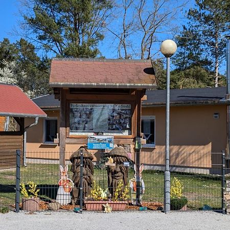 Spreewaldhaeuser Golinski Mit Kamin Am Neuendorfer See Alt Schadow Екстериор снимка