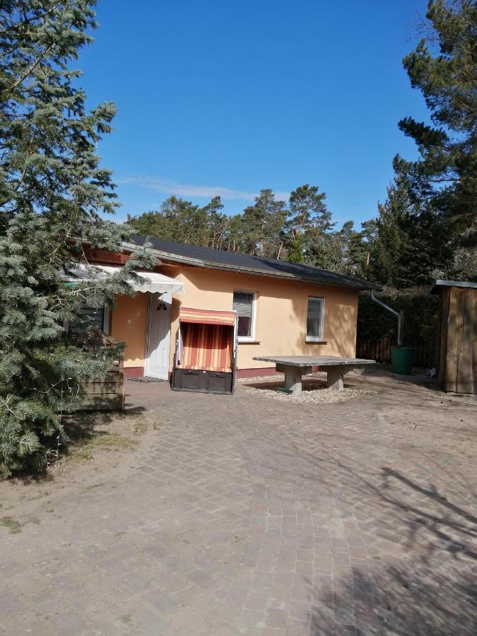 Spreewaldhaeuser Golinski Mit Kamin Am Neuendorfer See Alt Schadow Екстериор снимка
