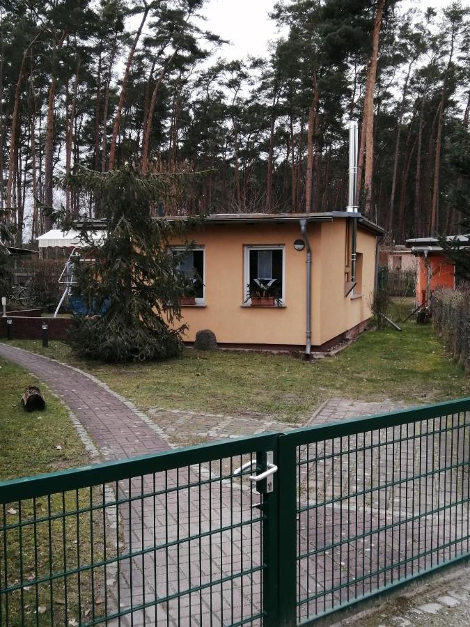 Spreewaldhaeuser Golinski Mit Kamin Am Neuendorfer See Alt Schadow Екстериор снимка