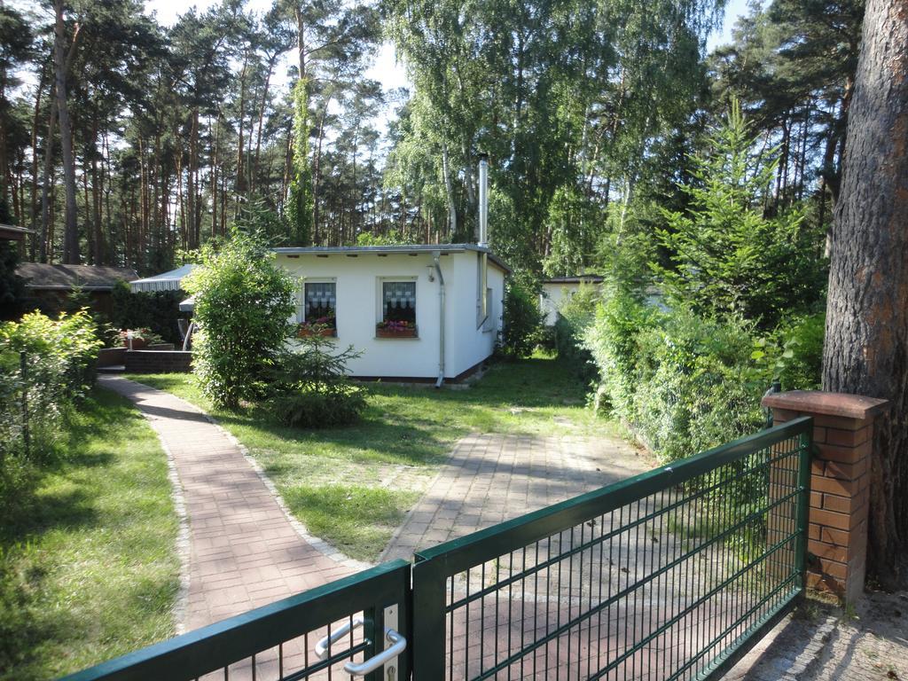 Spreewaldhaeuser Golinski Mit Kamin Am Neuendorfer See Alt Schadow Екстериор снимка